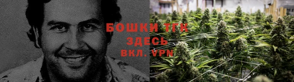 спайс Верея